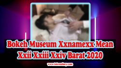 Bokeh museum xxnamexx mean xxii xxiii xxiv cina 2020 indonesia 2017