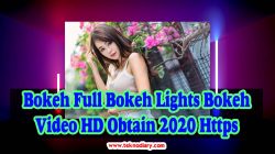 Bokeh Full Bokeh Lights Bokeh Video HD Obtain 2020 Https