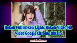 Bokeh Full Bokeh Lights Bokeh Video Hd Video Google Chrome Obtain
