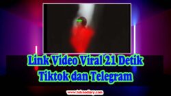 Link Video Viral 21 Detik Tiktok dan Telegram